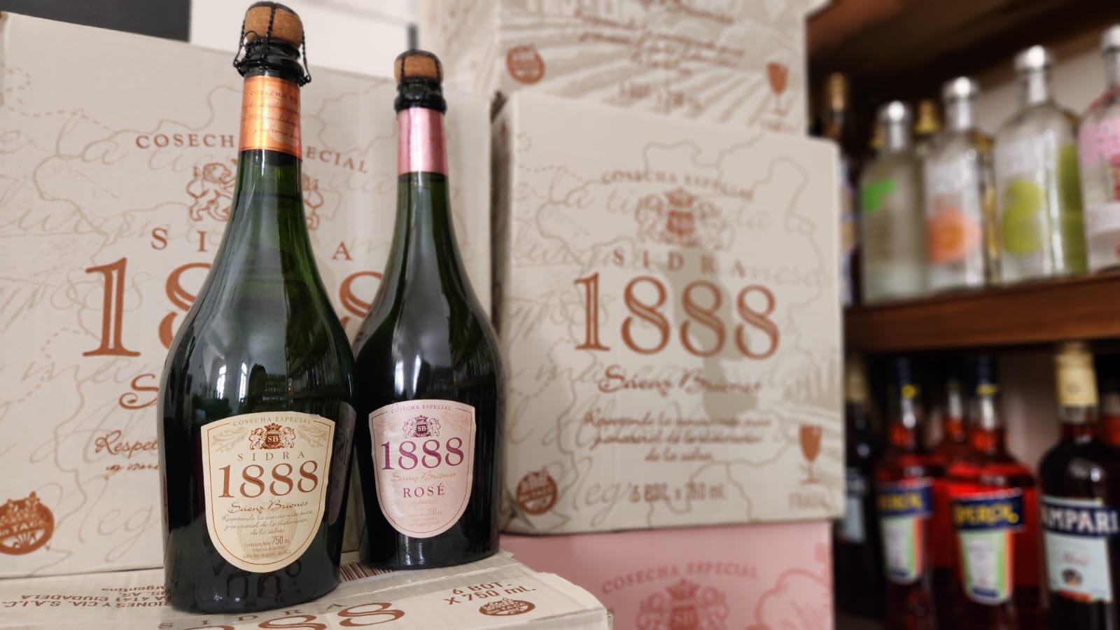 Sidra 1888 - Sidra 1888 rose